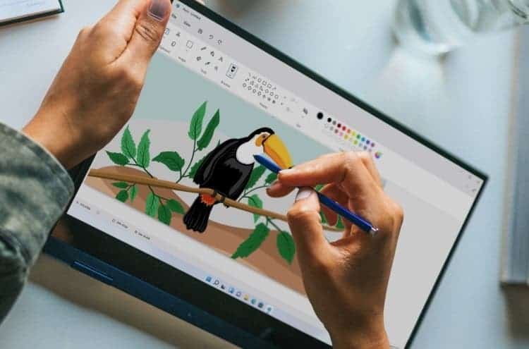 Microsoft оновлює додатки Paint і Photos, щоб вони краще відповідали Windows 11