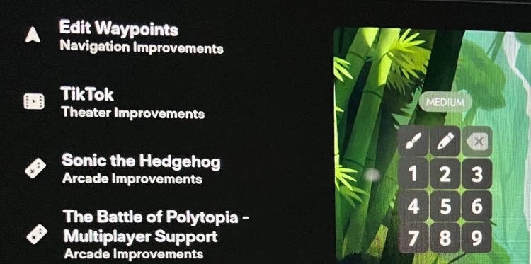 Електромобілі Tesla отримали підтримку TikTok