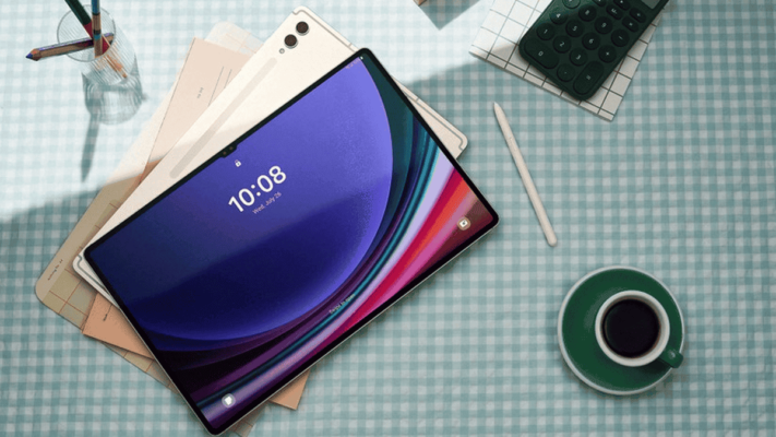 imagem 2024 11 29 064332513