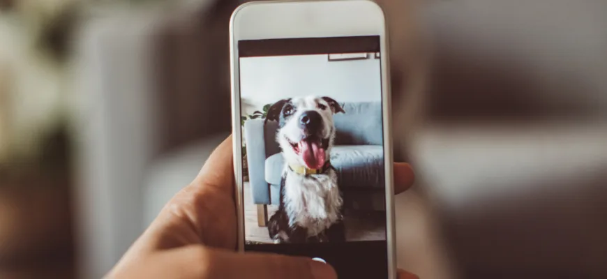 GREENIES™ Canine Dental Check