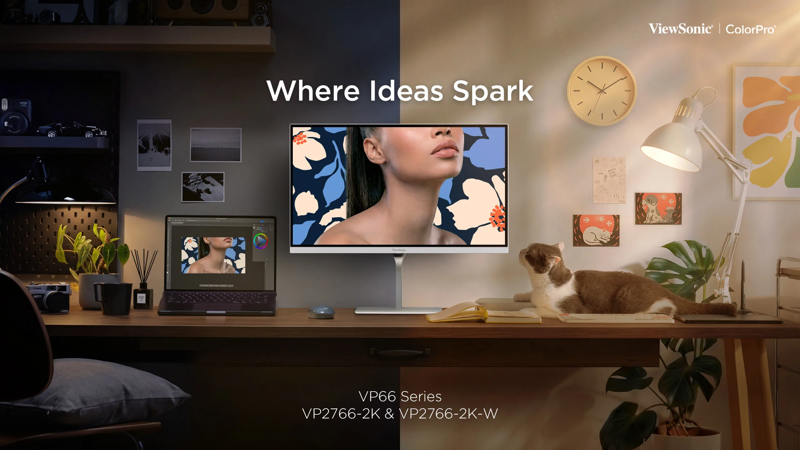 ViewSonic VP66, монітори ViewSonic, Pantone монітор, монітор для дизайнера